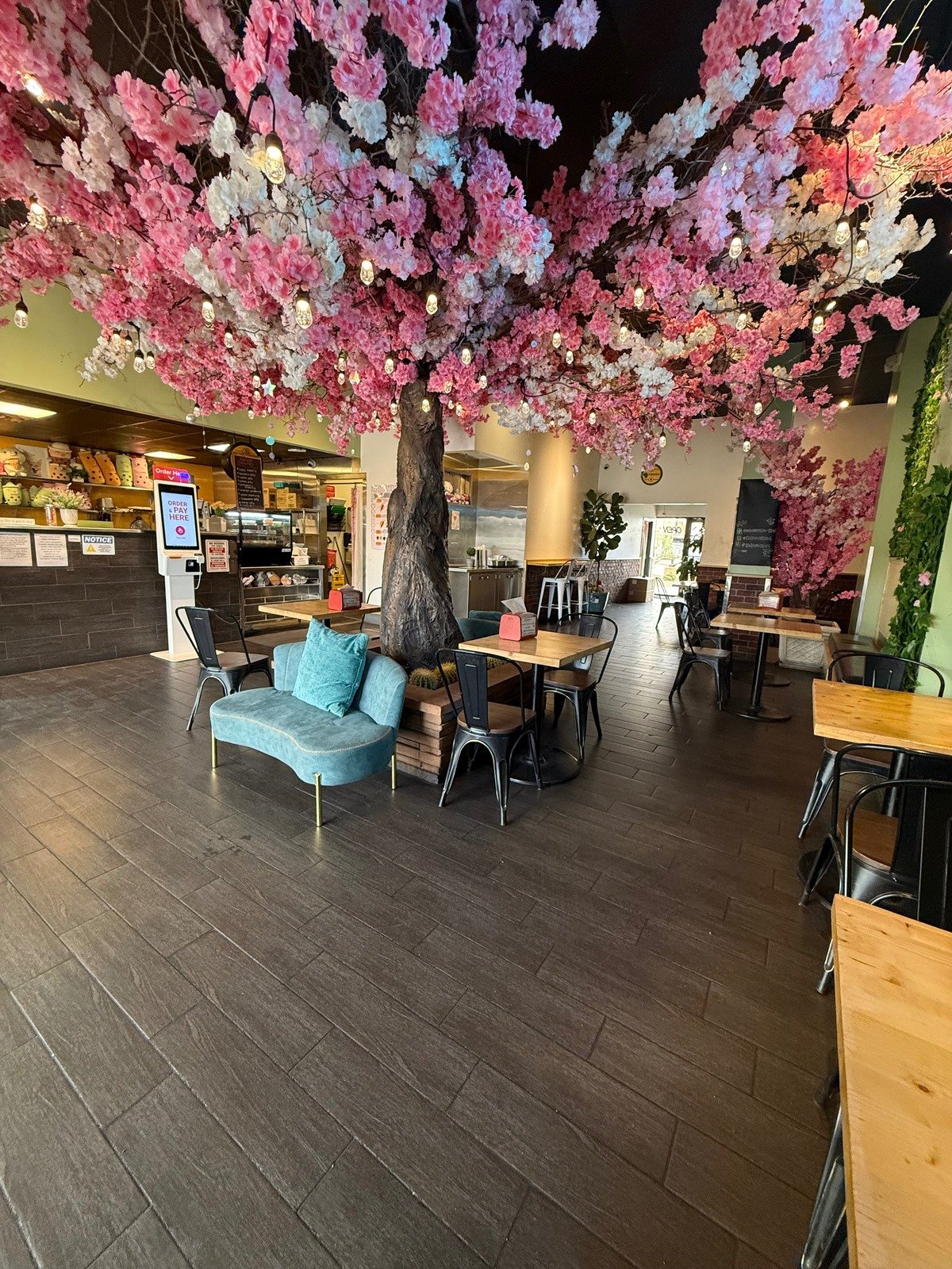 Korean Corn dogs, Mochi Donuts & Boba Tea